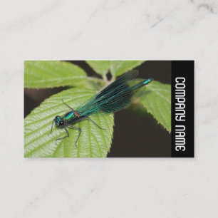 Side Band - Dragonfly Visitekaartje