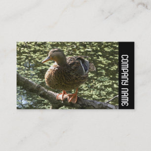 Side Band - Happy Duck Visitekaartje