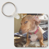 Side Eye Dog Meme Dubbelzijdige Sleutelhanger (Voorkant)