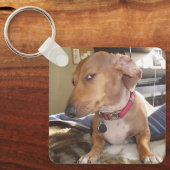 Side Eye Dog Meme Dubbelzijdige Sleutelhanger (Voorkant)