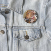 Side Eye Dog Meme Pin Button (In situ)