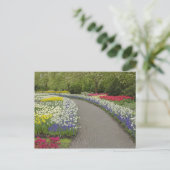 Sidewalk pathway through tulpen and daffodils, 2 briefkaart (Staand voorkant)