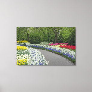 Sidewalk-route door tulpen en daffodils; canvas afdruk