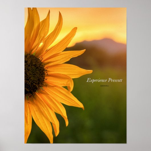 Sideways Glance-Experience Prescott Poster (Voorkant)