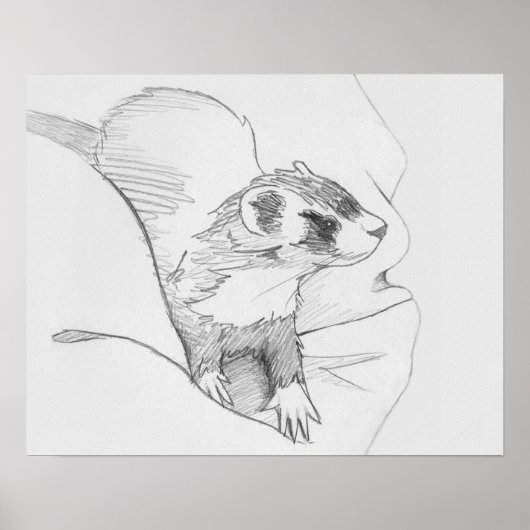 "Siduri" Ferret Drawing Poster (Voorkant)