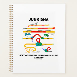 Siège De L'ADN De L'ADN De L'Activité Cruciale De