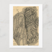 Siège de Vicksburg - Guerre civile Carte panoramiq (Devant)