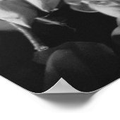 Siem Reap Cambodia, Lotus Flowers Poster (Hoek)