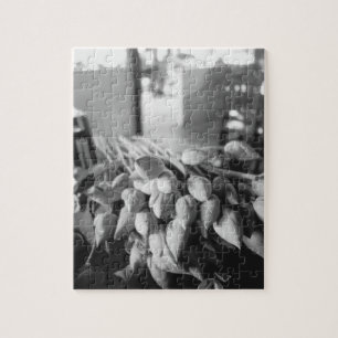 Siem Reap Cambodja, Lotusbloemen Legpuzzel