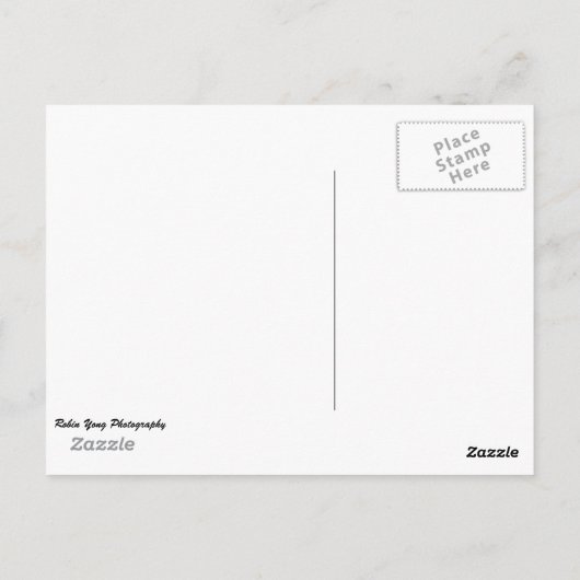 Siem Reap, carte postale cambodgienne (Dos)