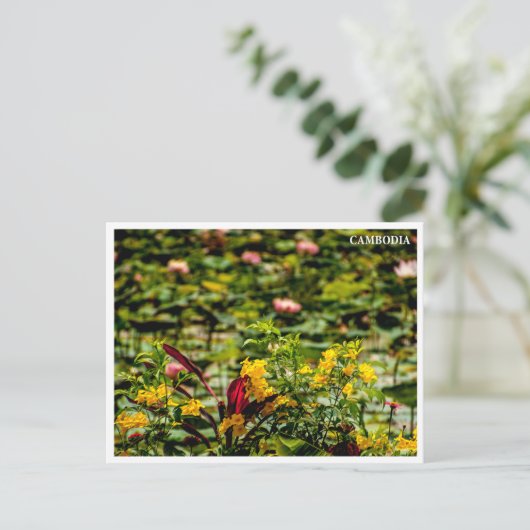 Siem Reap Lotus Field Cambodia Postcard Feestdagenkaart (Staand voorkant)
