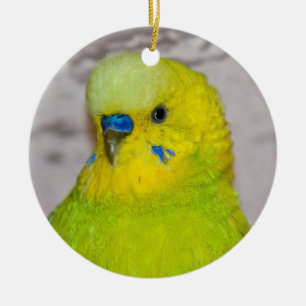 Sieraad van gele grasparkiet keramisch ornament
