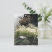 siergrassen briefkaart (Staand voorkant)