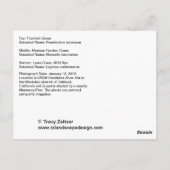 siergrassen briefkaart (Achterkant)