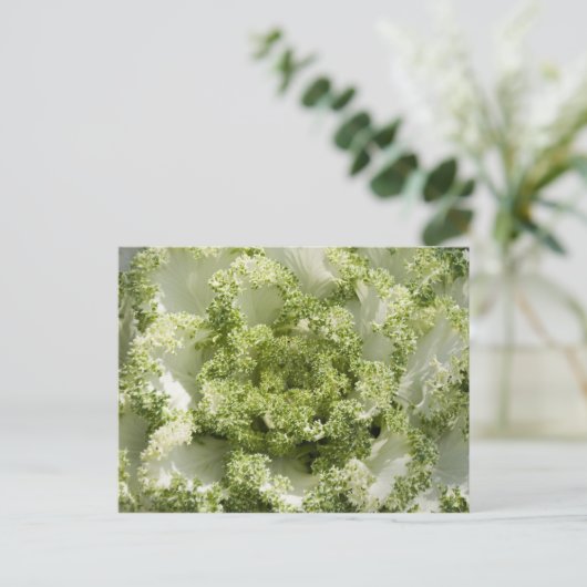 sierkool briefkaart (Staand voorkant)