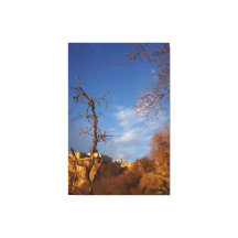 sierkunst aan de wand