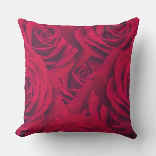 Sierkussen (Voorkant)