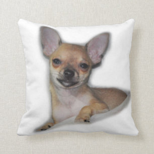 Sierkussen Chihuahua