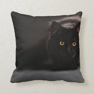 Sierkussen   Design van schattige zwarte katten