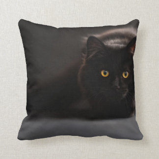 Sierkussen | Design van schattige zwarte katten