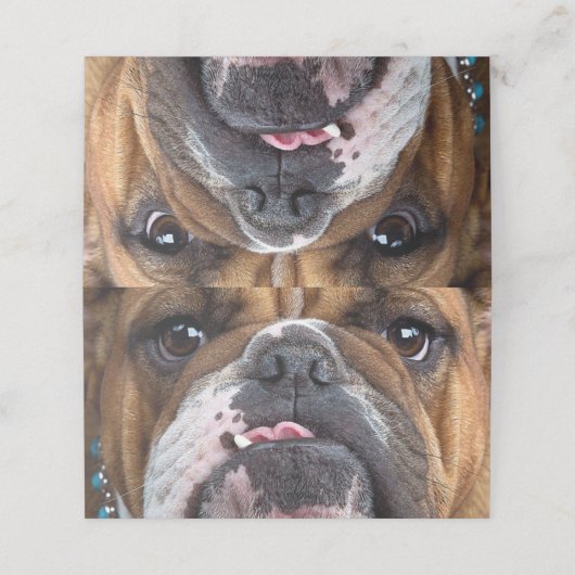 Sierkussen Engelse Bulldog (Buitenkant ongevouwen)