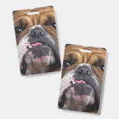 Sierkussen Engelse Bulldog Badge (Voor- en achterkant)