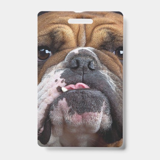 Sierkussen Engelse Bulldog Badge (Voorzijde)