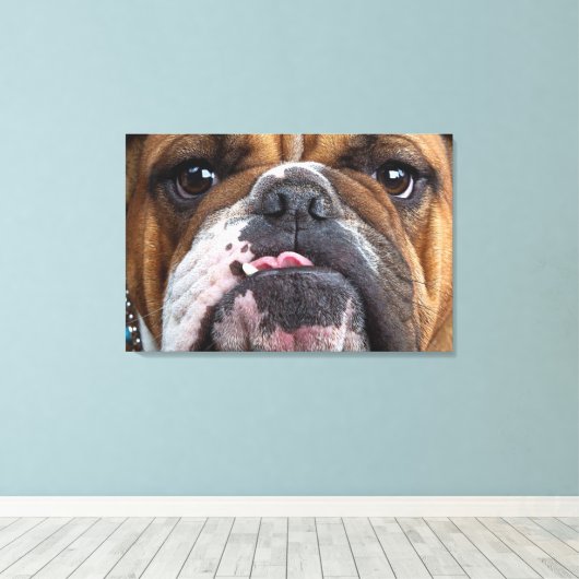 Sierkussen Engelse Bulldog Canvas Afdruk (Insitu (Houten vloer))