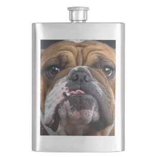 Sierkussen Engelse Bulldog Flacon