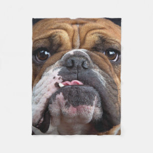 Sierkussen Engelse Bulldog Fleece Deken