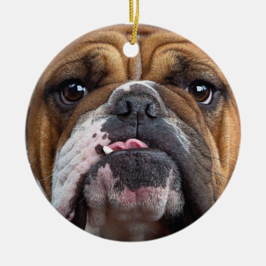 Sierkussen Engelse Bulldog Keramisch Ornament (Voorkant)