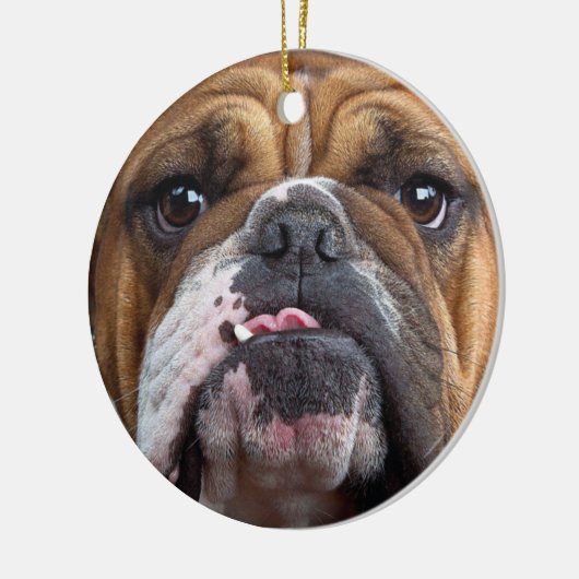 Sierkussen Engelse Bulldog Keramisch Ornament (Links)