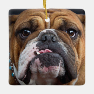 Sierkussen Engelse Bulldog Keramisch Ornament