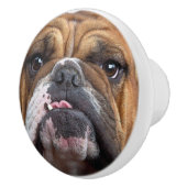 Sierkussen Engelse Bulldog Keramische Knop (Rechts)