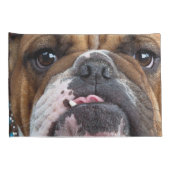 Sierkussen Engelse Bulldog Kussensloop (Achterkant-Rechts)
