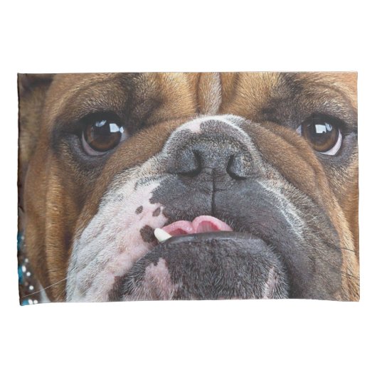 Sierkussen Engelse Bulldog Kussensloop (Voorkant-Rechts)