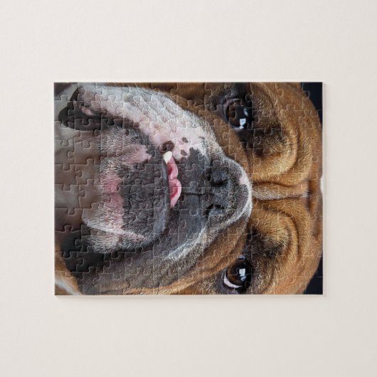 Sierkussen Engelse Bulldog Legpuzzel (Horizontaal)