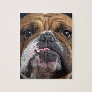 Sierkussen Engelse Bulldog Legpuzzel