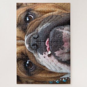Sierkussen Engelse Bulldog Legpuzzel