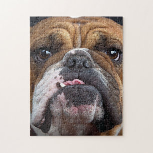 Sierkussen Engelse Bulldog Legpuzzel