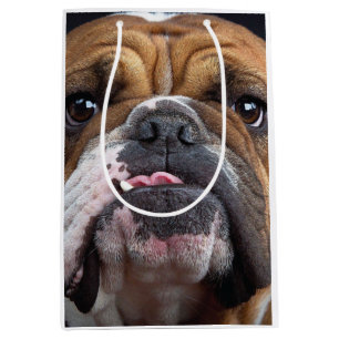 Sierkussen Engelse Bulldog Medium Cadeauzakje