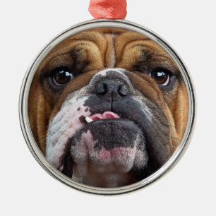 Sierkussen Engelse Bulldog Metalen Ornament