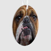 Sierkussen Engelse Bulldog Ornament (voorkant)