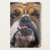 Sierkussen Engelse Bulldog Planner (Achterkant)