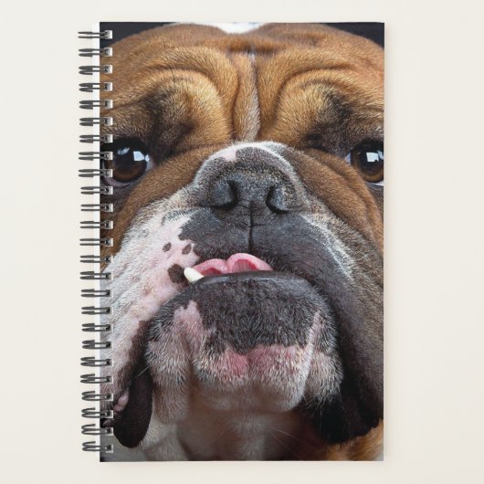 Sierkussen Engelse Bulldog Planner (Voorkant)
