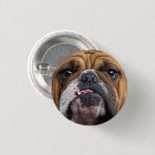 Sierkussen Engelse Bulldog Ronde Button 3,2 Cm (Voorkant /achterkant)
