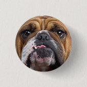 Sierkussen Engelse Bulldog Ronde Button 3,2 Cm (Voorkant)