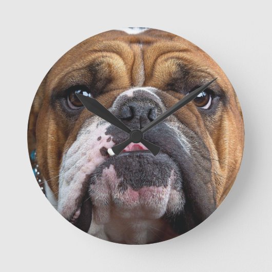 Sierkussen Engelse Bulldog Ronde Klok (Voorkant)