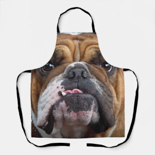 Sierkussen Engelse Bulldog Schort