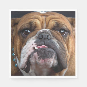 Sierkussen Engelse Bulldog Servet